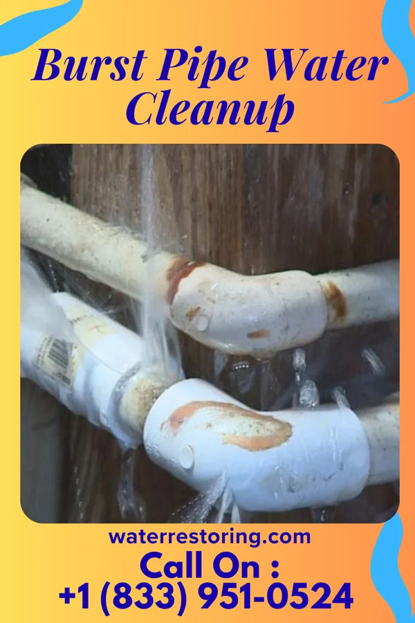 Burst Pipe Water Cleanup in Nelsonville, NY