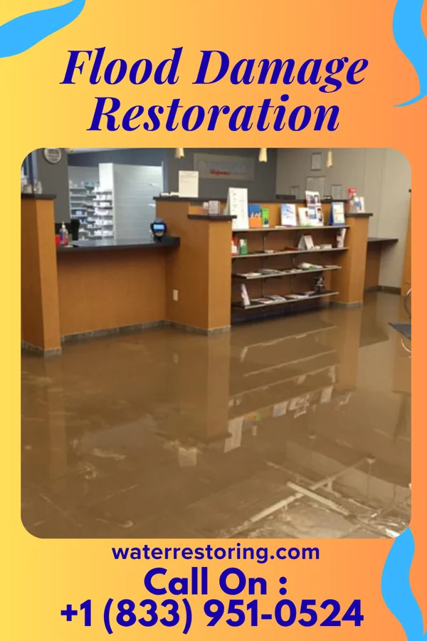 Flood Damage Restoration in Nelsonville, NY