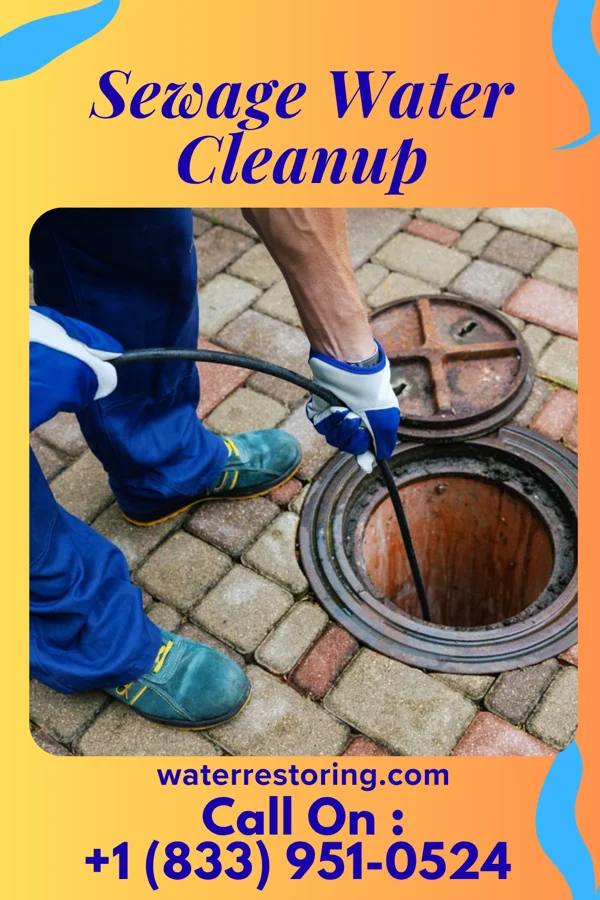 Sewage Water Cleanup in Nelsonville, NY