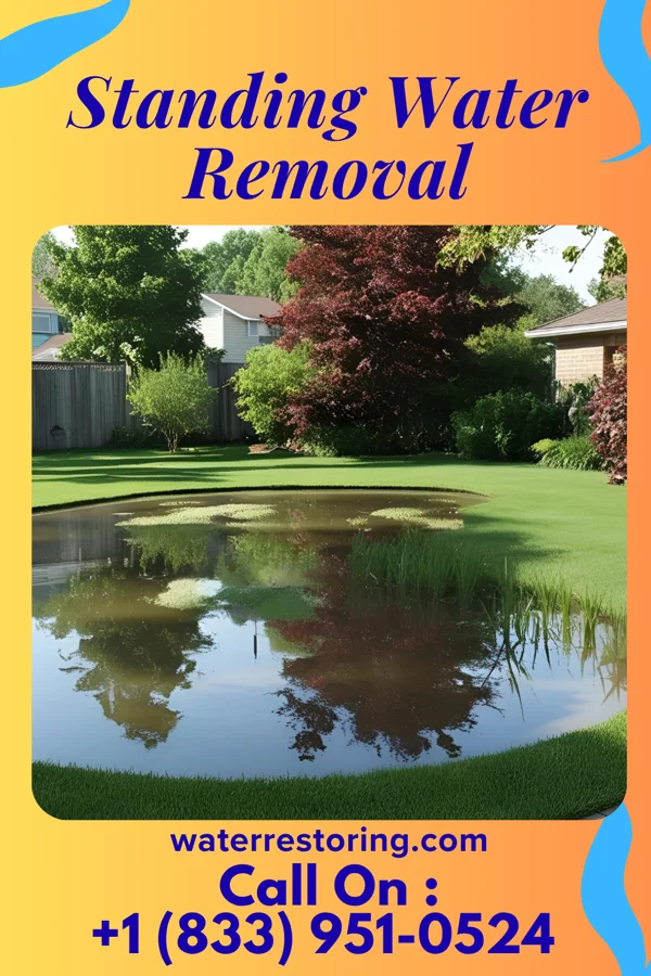 Standing Water Removal in Nelsonville, NY
